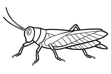 locust silhouette line art vector illustration with a white background