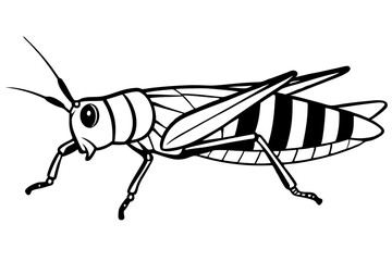 locust silhouette line art vector illustration with a white background