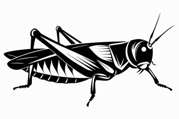 locust silhouette line art vector illustration with a white background