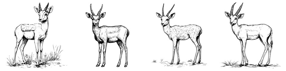 Detailed illustrations of antelopes showcasing different angles and postures in a natural habitat setting