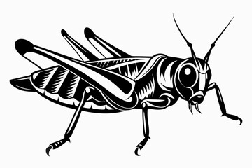 locust silhouette line art vector illustration with a white background