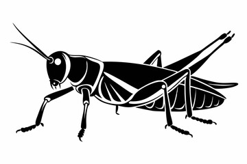 locust silhouette line art vector illustration with a white background