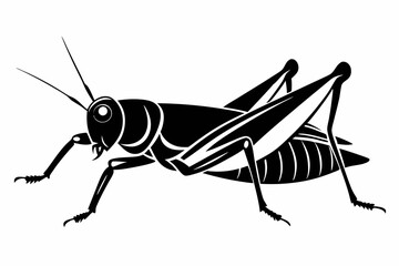 locust silhouette line art vector illustration with a white background