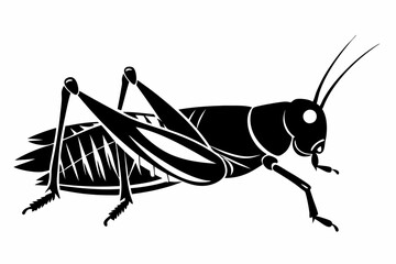 locust silhouette line art vector illustration with a white background