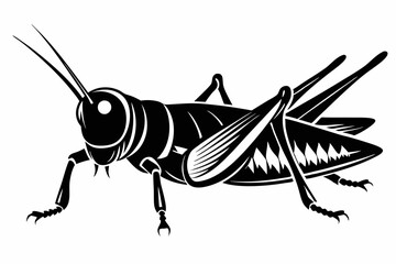 locust silhouette line art vector illustration with a white background