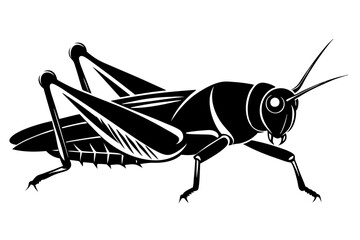 locust silhouette line art vector illustration with a white background