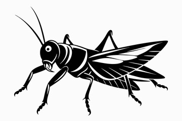 locust silhouette line art vector illustration with a white background
