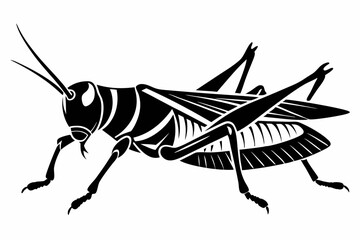 locust silhouette line art vector illustration with a white background