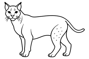 lynx silhouette line art vector illustration with a white background