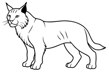 lynx silhouette line art vector illustration with a white background