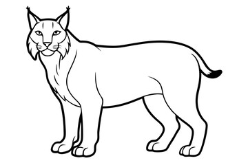 lynx silhouette line art vector illustration with a white background