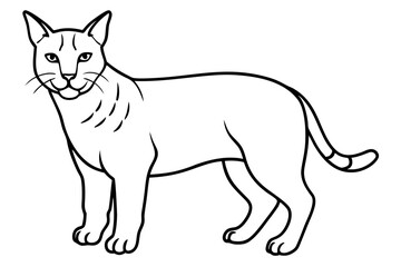 lynx silhouette line art vector illustration with a white background