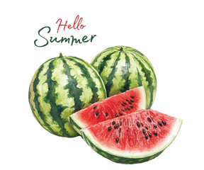 Hello summer concept. Juicy watermelon slice vector. Organic food element for summer diet. Red green water melon fruit. Vector summer dessert nutrition watermelon berry with black seeds.