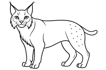 lynx silhouette line art vector illustration with a white background