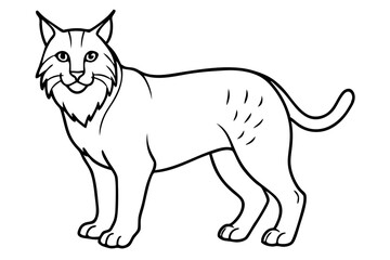lynx silhouette line art vector illustration with a white background
