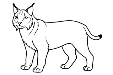 lynx silhouette line art vector illustration with a white background