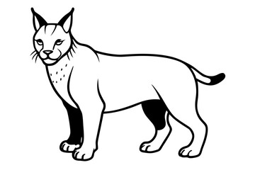 lynx silhouette line art vector illustration with a white background