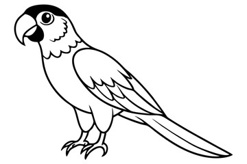 macaw silhouette line art vector illustration with a white background