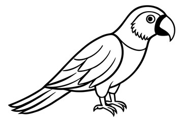 macaw silhouette line art vector illustration with a white background