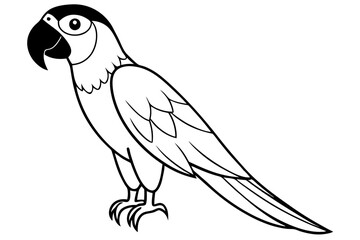 macaw silhouette line art vector illustration with a white background
