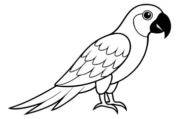 macaw silhouette line art vector illustration with a white background