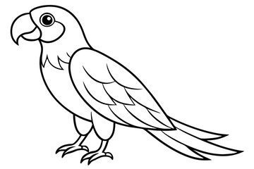 macaw silhouette line art vector illustration with a white background