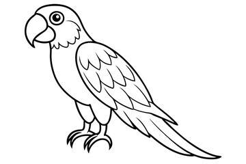 macaw silhouette line art vector illustration with a white background