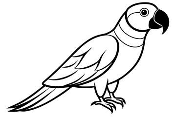 macaw silhouette line art vector illustration with a white background