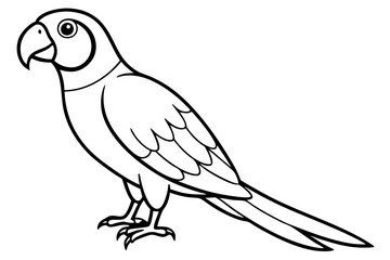 macaw silhouette line art vector illustration with a white background