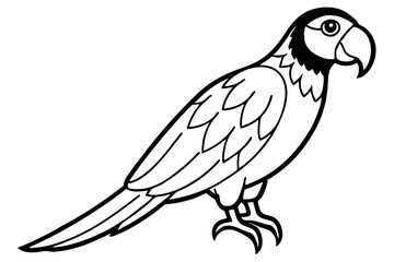macaw silhouette line art vector illustration with a white background