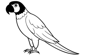macaw silhouette line art vector illustration with a white background