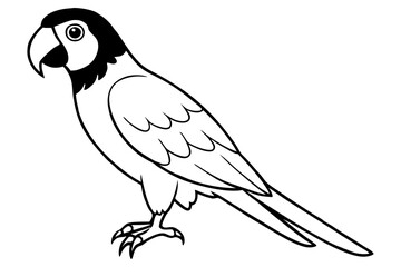 macaw silhouette line art vector illustration with a white background