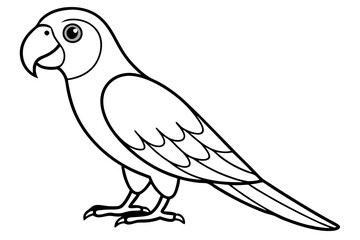macaw silhouette line art vector illustration with a white background