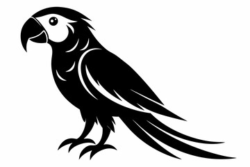 macaw silhouette line art vector illustration with a white background