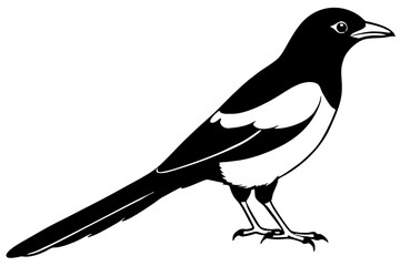 magpie silhouette line art vector illustration with a white background