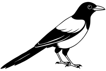 magpie silhouette line art vector illustration with a white background