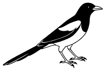 magpie silhouette line art vector illustration with a white background