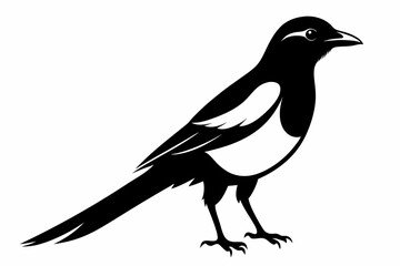 Fototapeta premium magpie silhouette line art vector illustration with a white background