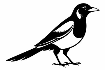 magpie silhouette line art vector illustration with a white background