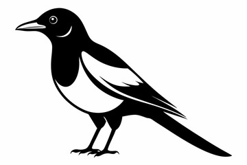 magpie silhouette line art vector illustration with a white background