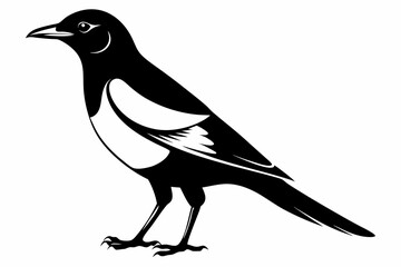 Fototapeta premium magpie silhouette line art vector illustration with a white background