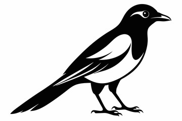 Obraz premium magpie silhouette line art vector illustration with a white background
