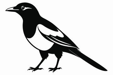 Obraz premium magpie silhouette line art vector illustration with a white background