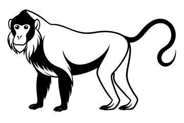 mandrill silhouette line art vector illustration with a white background