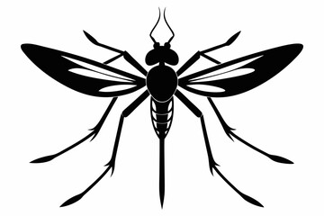 mosquito silhouette line art vector illustration with a white background