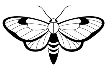 moth silhouette line art vector illustration with a white background