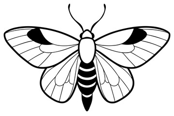 moth silhouette line art vector illustration with a white background