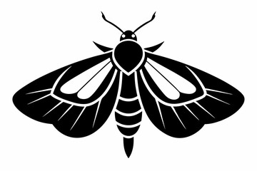 moth silhouette line art vector illustration with a white background