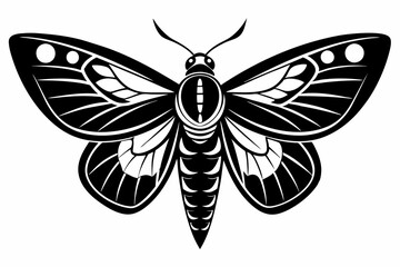 moth silhouette line art vector illustration with a white background
