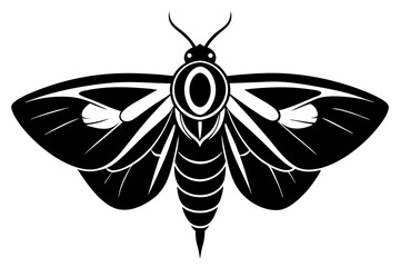 moth silhouette line art vector illustration with a white background